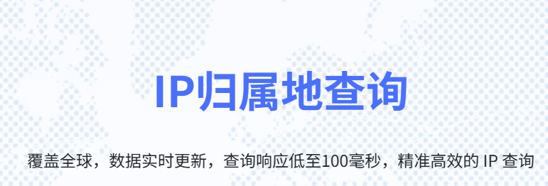 解锁 IP 奥秘，尽在https://ip.bizsoso.com/