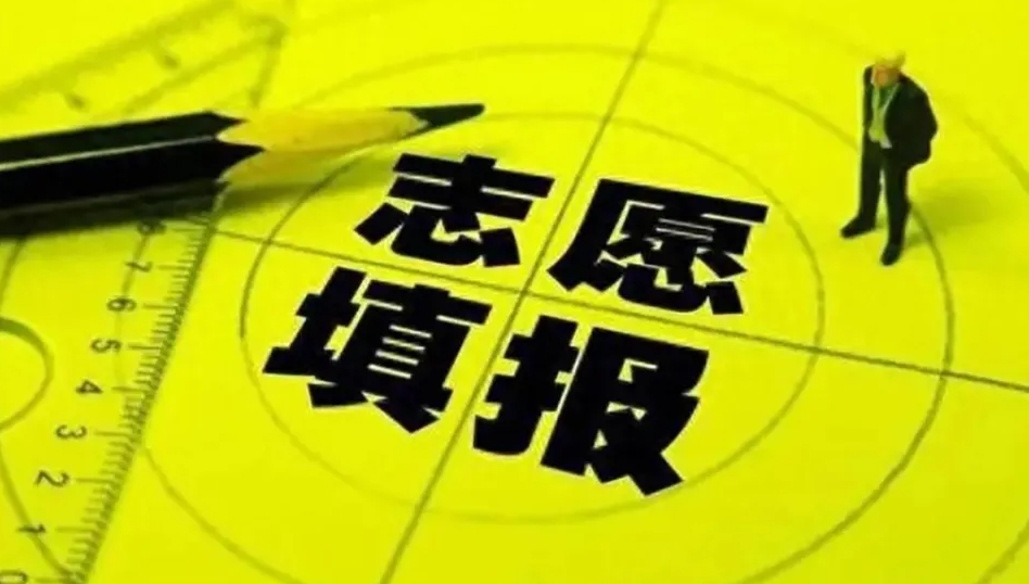 高考之后，流量开始填志愿：谁在制造“情绪共鸣”？谁在收割“AI红利”？