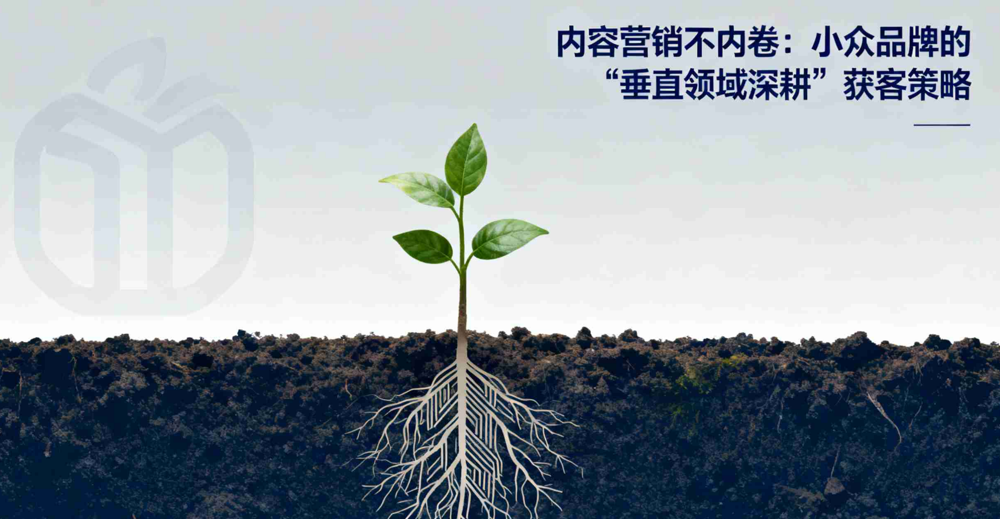 内容营销不内卷：小众品牌的 “垂直领域深耕” 获客策略